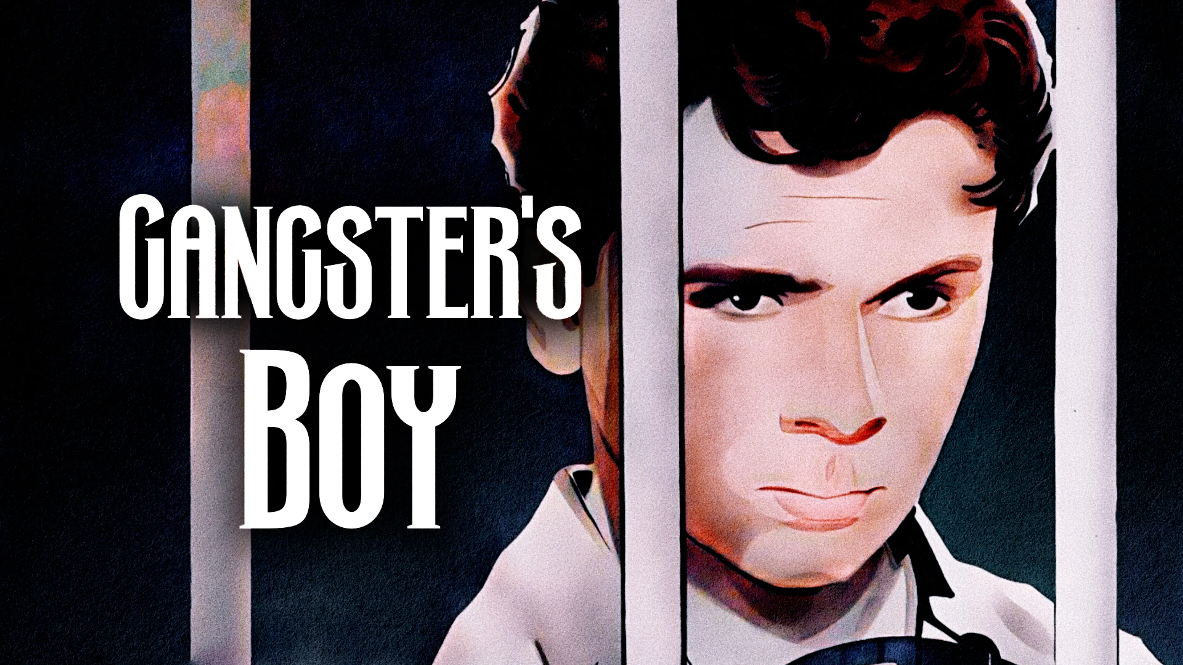 Gangster's Boy poster